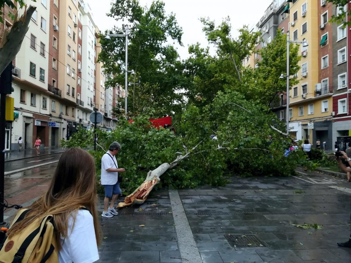 Consecuencias de la tormenta en Zaragoza