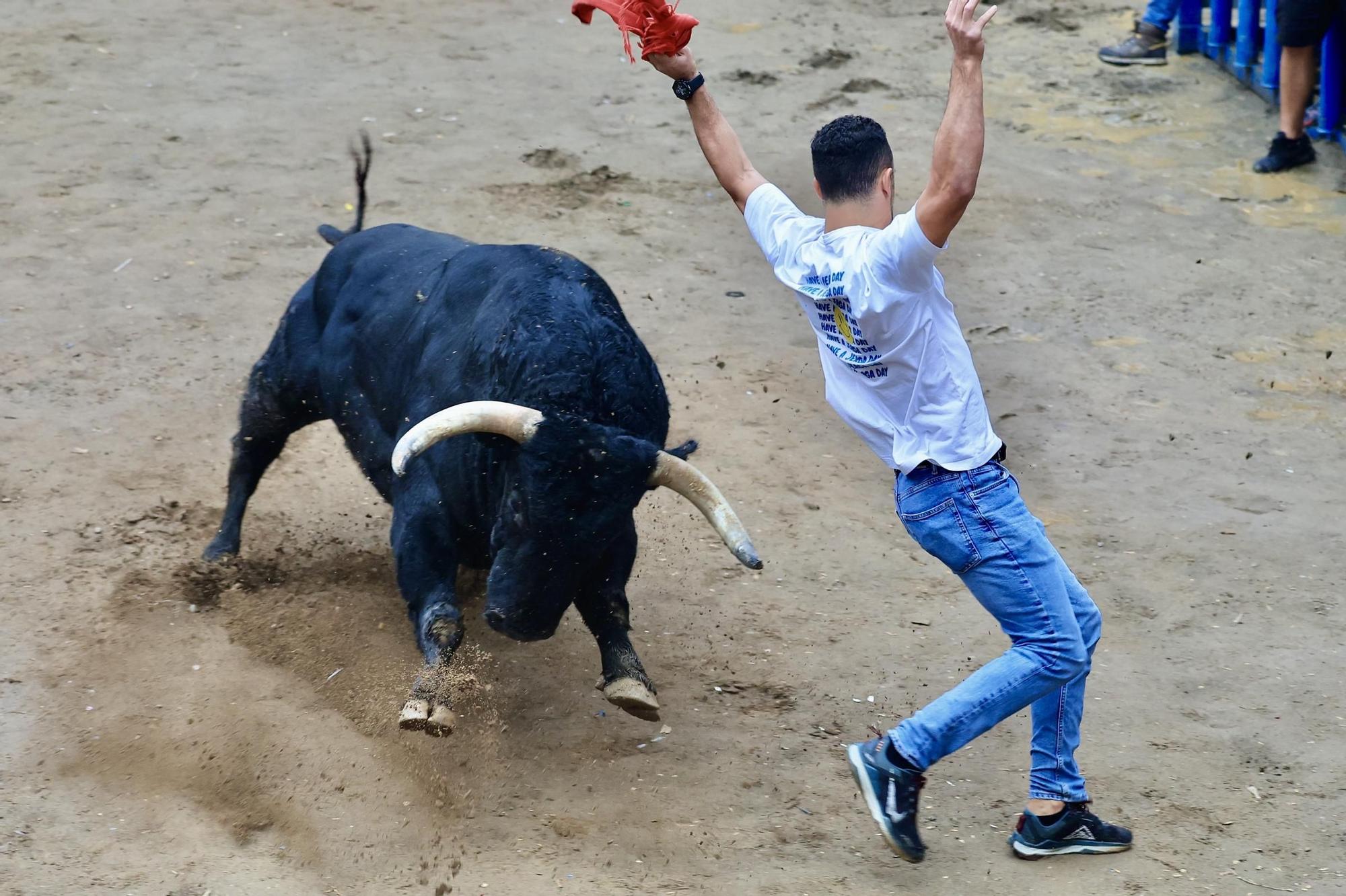 Galería de fotos de la penúltima tarde de toros de las fiestas del Roser en Almassora