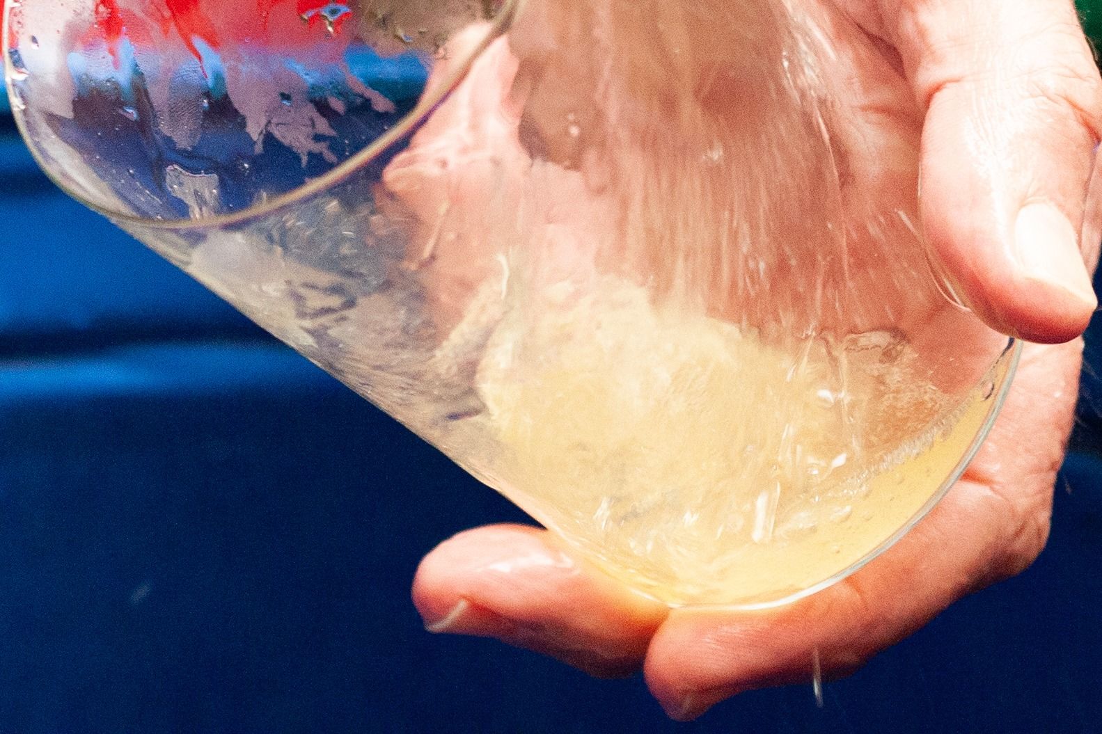 EN IMÁGENES: El Centro Asturiano de Tarragona celebra sus 50 años