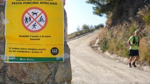 BCN tanca els accessos a Collserola per un cas de pesta porcina