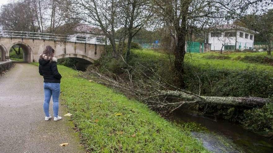 Varios árboles cayeron en el Paseo do Pontiñas a causa del temporal. // Bernabé/Ana Agra