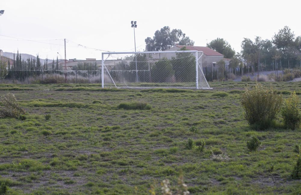 Una jungla en Fontcalent