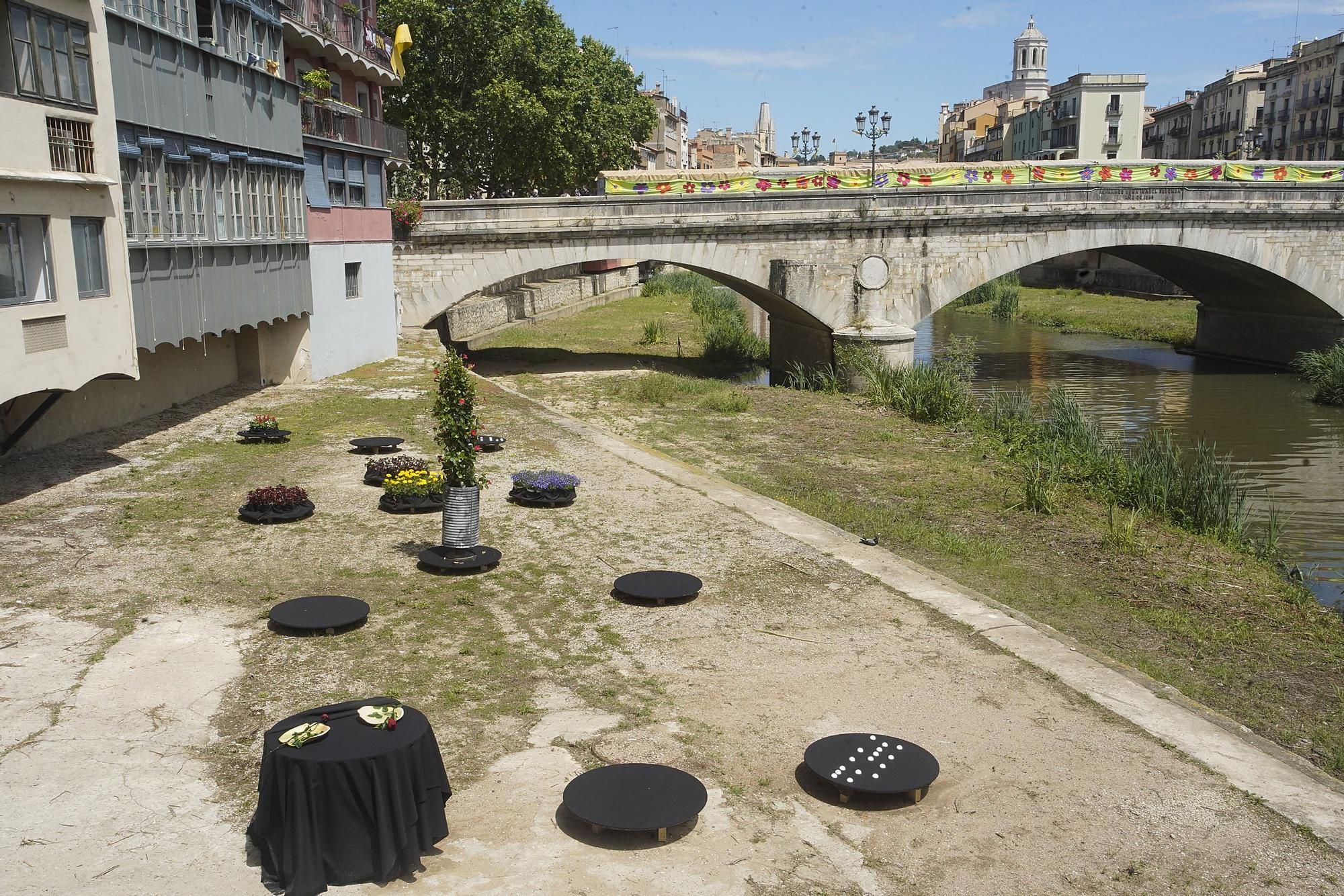 Projectes solidaris de Temps de Flors