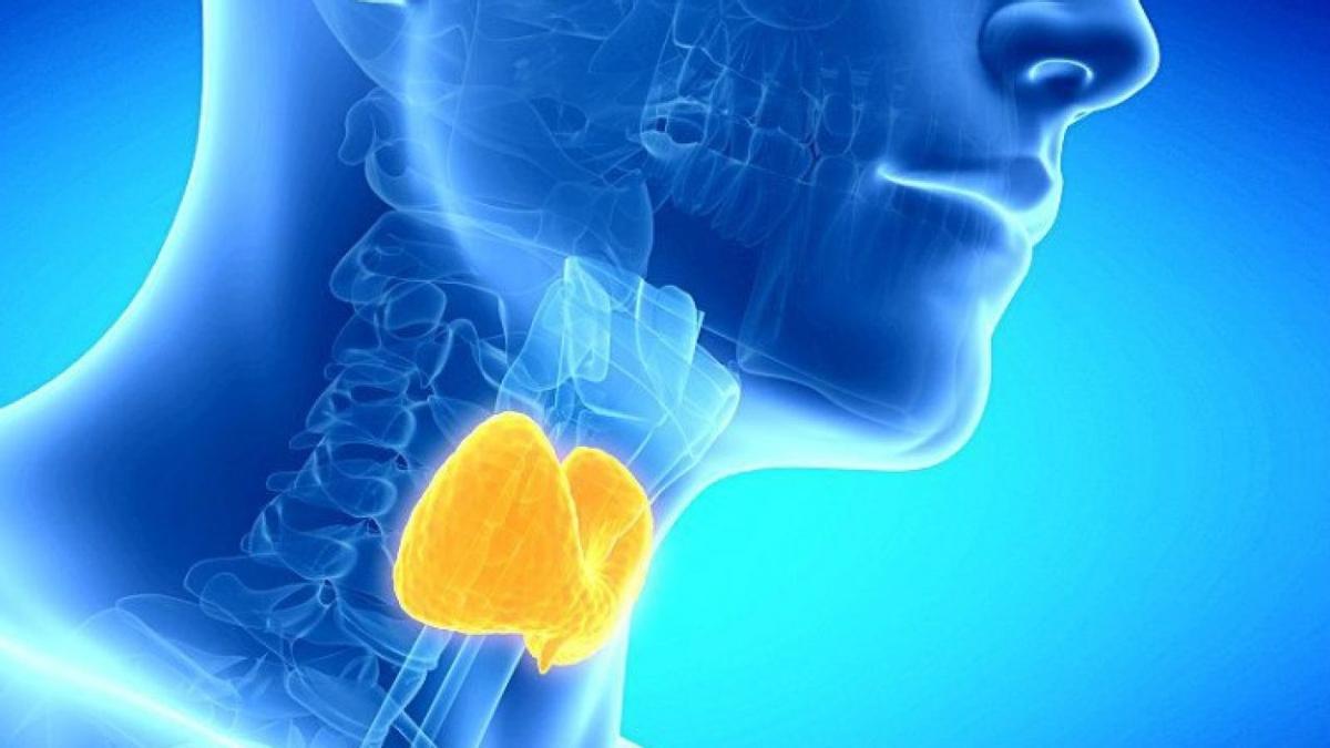 Síntomas y señales que podrían avisarte de un problema de tiroides