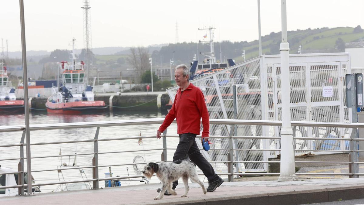 Un hombre pasea con un perro por Avilés.