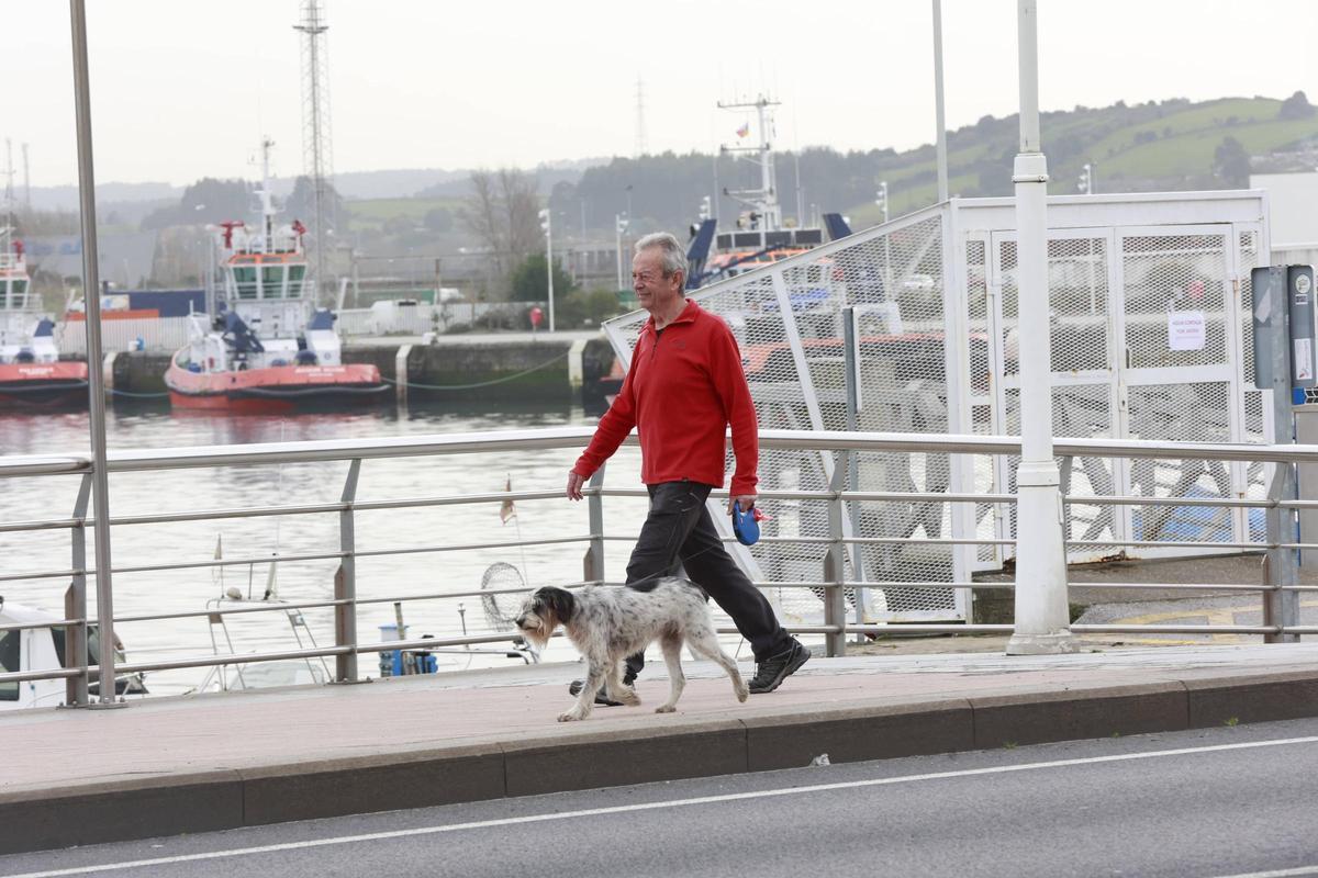 Un hombre pasea con un perro por Avilés.