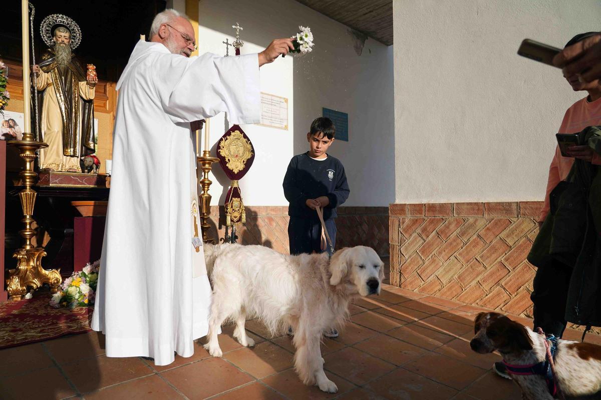 Varias personas se acercan a la parroquía de San Antonio Abad en Churriana con sus mascotas para recibir la bendición del santo patrono de los animales, San Antón.-ÁLEX ZEA.