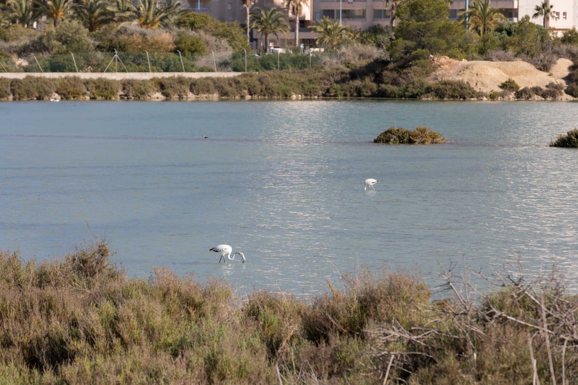 Parque natural del Penyal d'Ifac