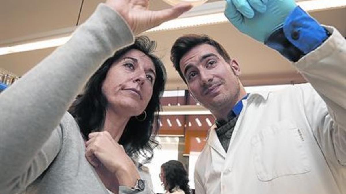 La investigadora Maite Muniesa y un colaborador, con una muestra de fagos en la Universitat de Barcelona.