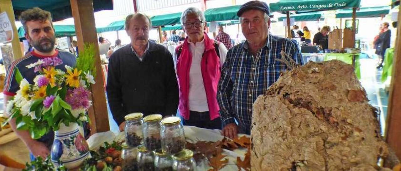 Iván Tomás, Luis Mier, Anita Merino y Arturo Remis, junto a un gran nido y avispas.