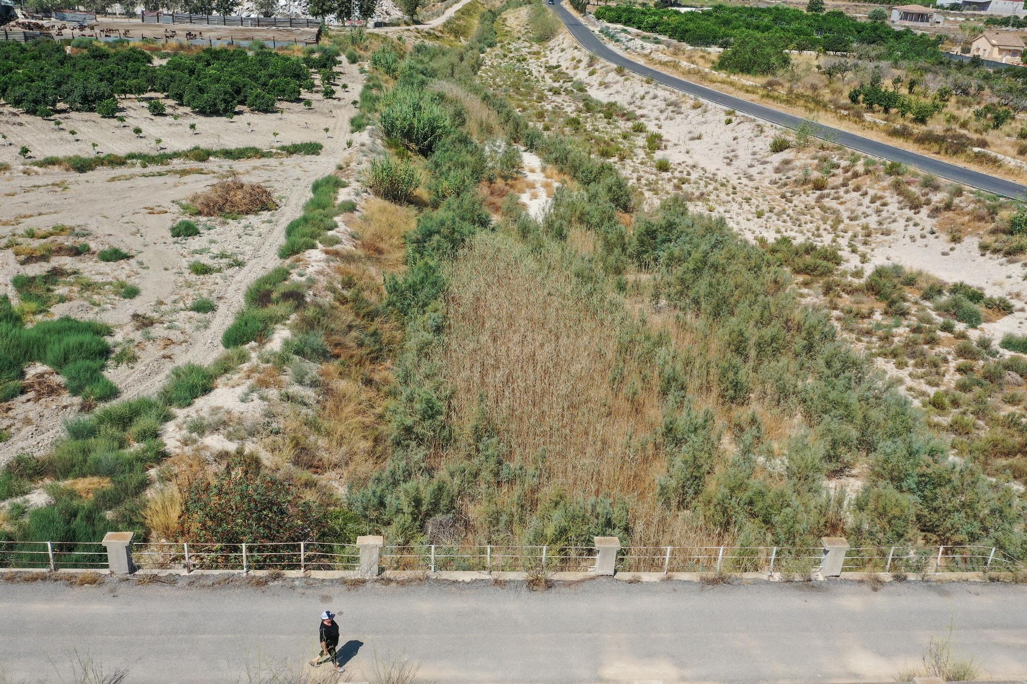 El Ayuntamiento de Benferri exige a la CHS que actúe para limpiar el cauce de la rambla de Abanilla ante el riesgo de una nueva DANA