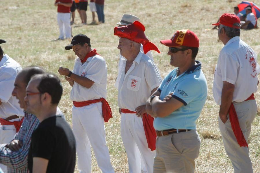 Fiestas en Zamora: Segudos espantes de Fuentesaúco