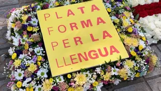 Plataforma per la Llengua impulsa una moción para que el nuevo canal de RTVE en catalán llegue a las Balears y no se limite a contenidos centrados en Cataluña