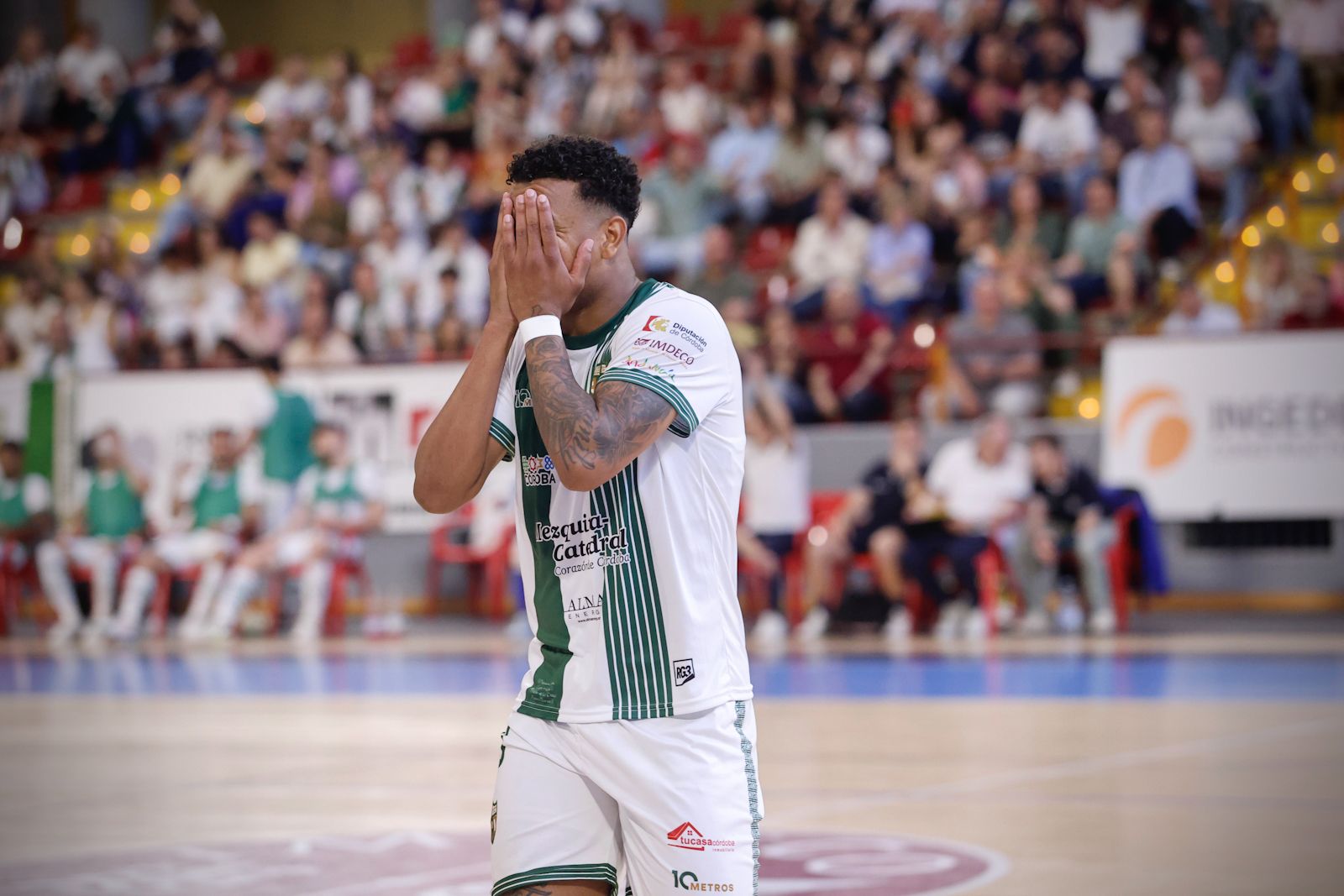 El Córdoba Futsal - Jimbee Cartagena, en imágenes