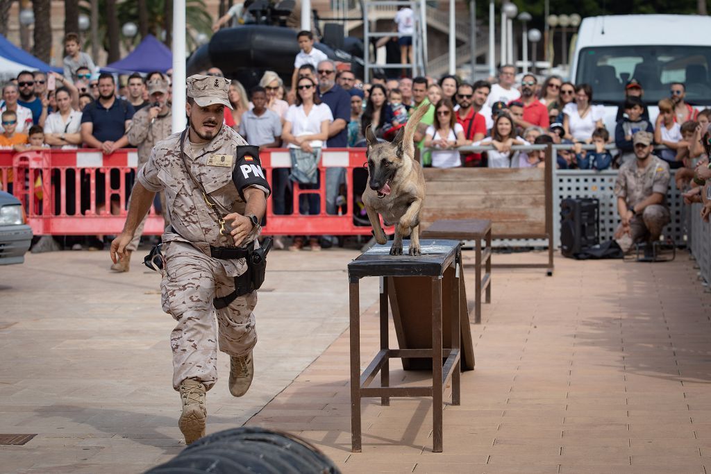 Exhibición de armas de la Armada en Cartagena