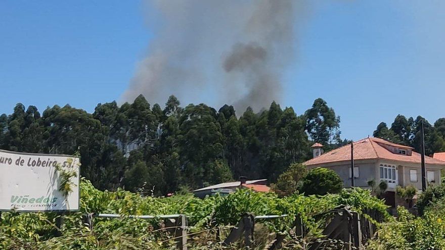 La columna de humo del incendio.