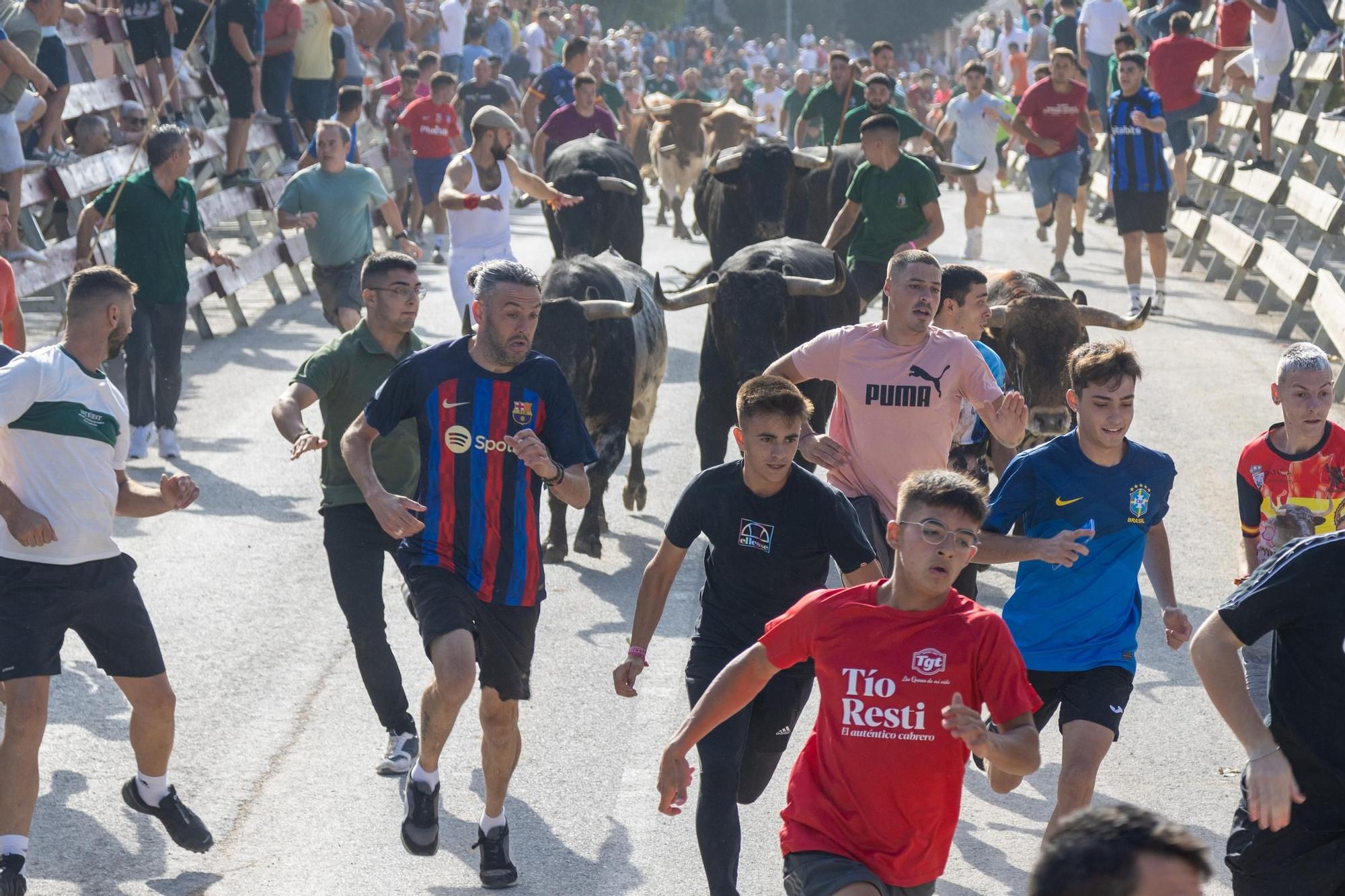 Cuarto encierro de la Feria Taurina del Arroz en Calasparra