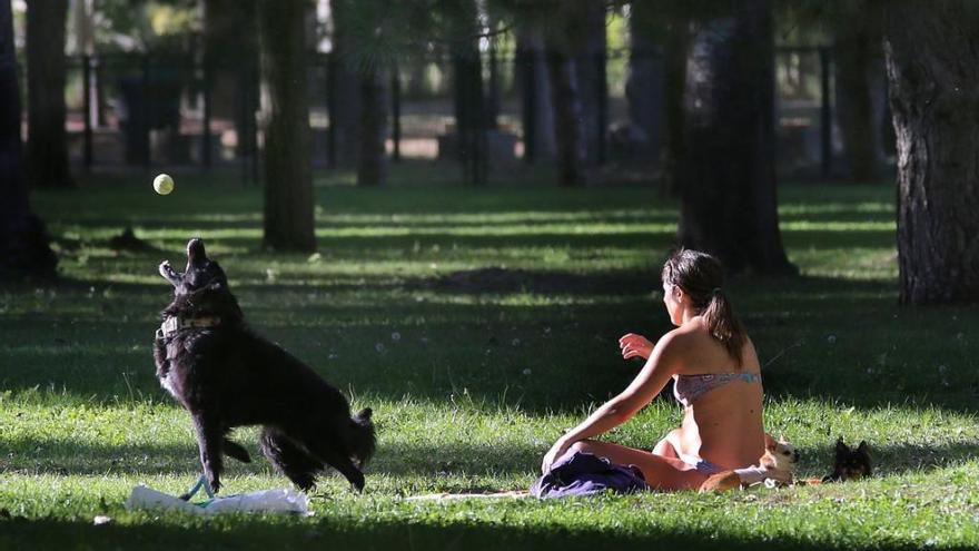 El otoño se adueña de la región con mínimas de cero grados en la montaña