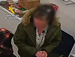 Una  ladrona roba 8.300 euros de la caja fuerte de una tienda de alimentación y de cuidado de mascotas de Marratxí