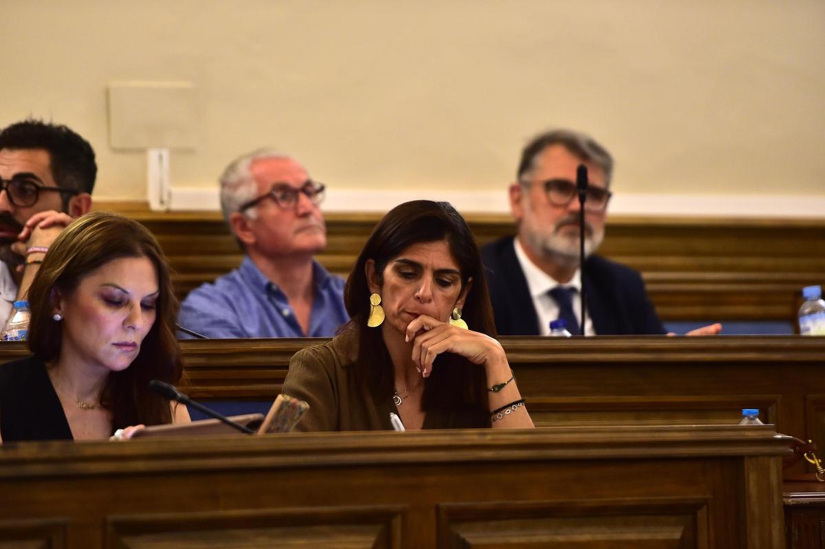 Belinda Martín (abajo a la derecha), en el último pleno, con Nisa, detrás en el centro.