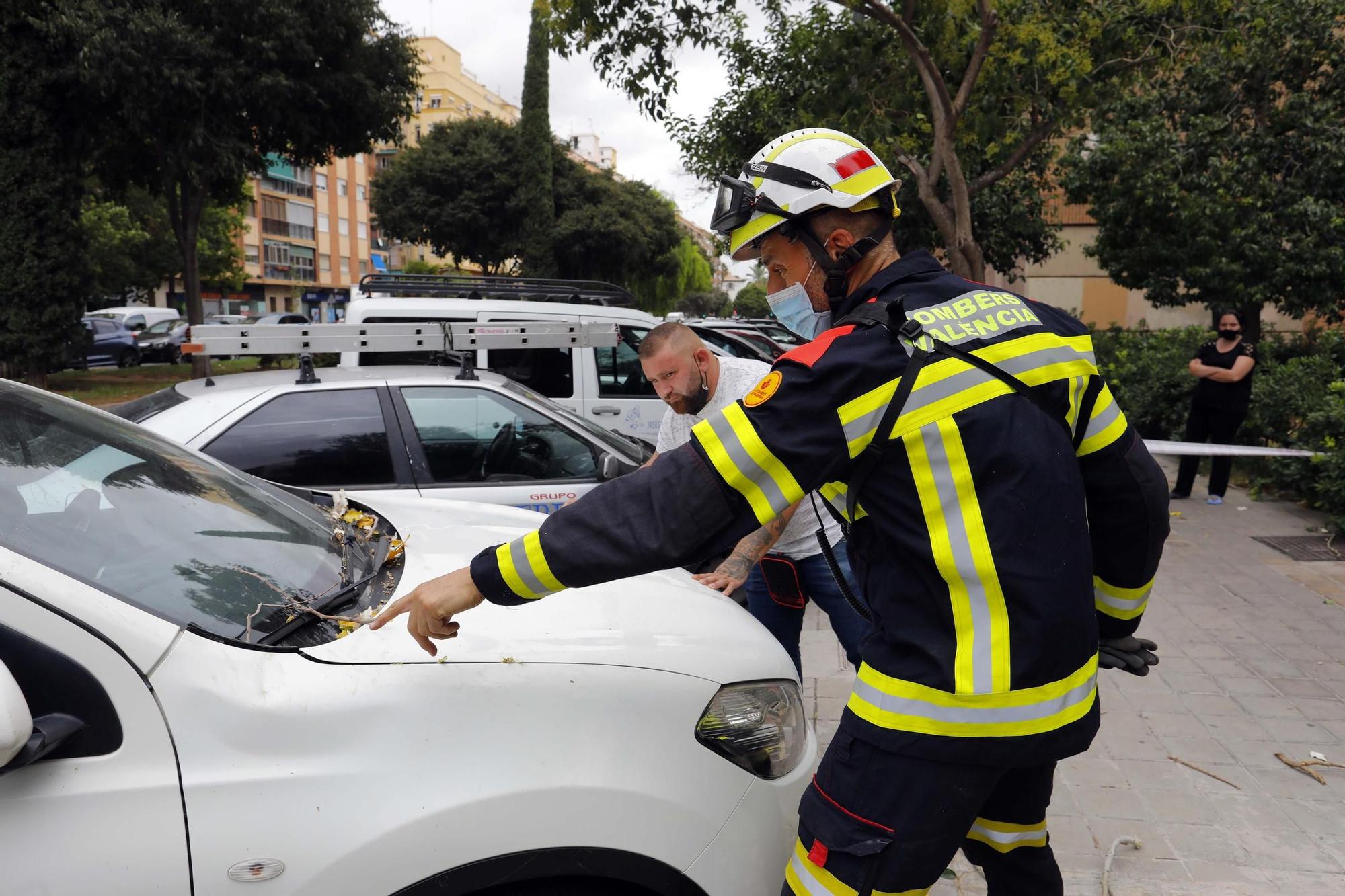 Daños provocados por el fuerte temporal de viento y lluvia en València