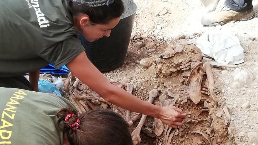 Imagen de los huesos hallados hoy en el cementerio de Marratxí.