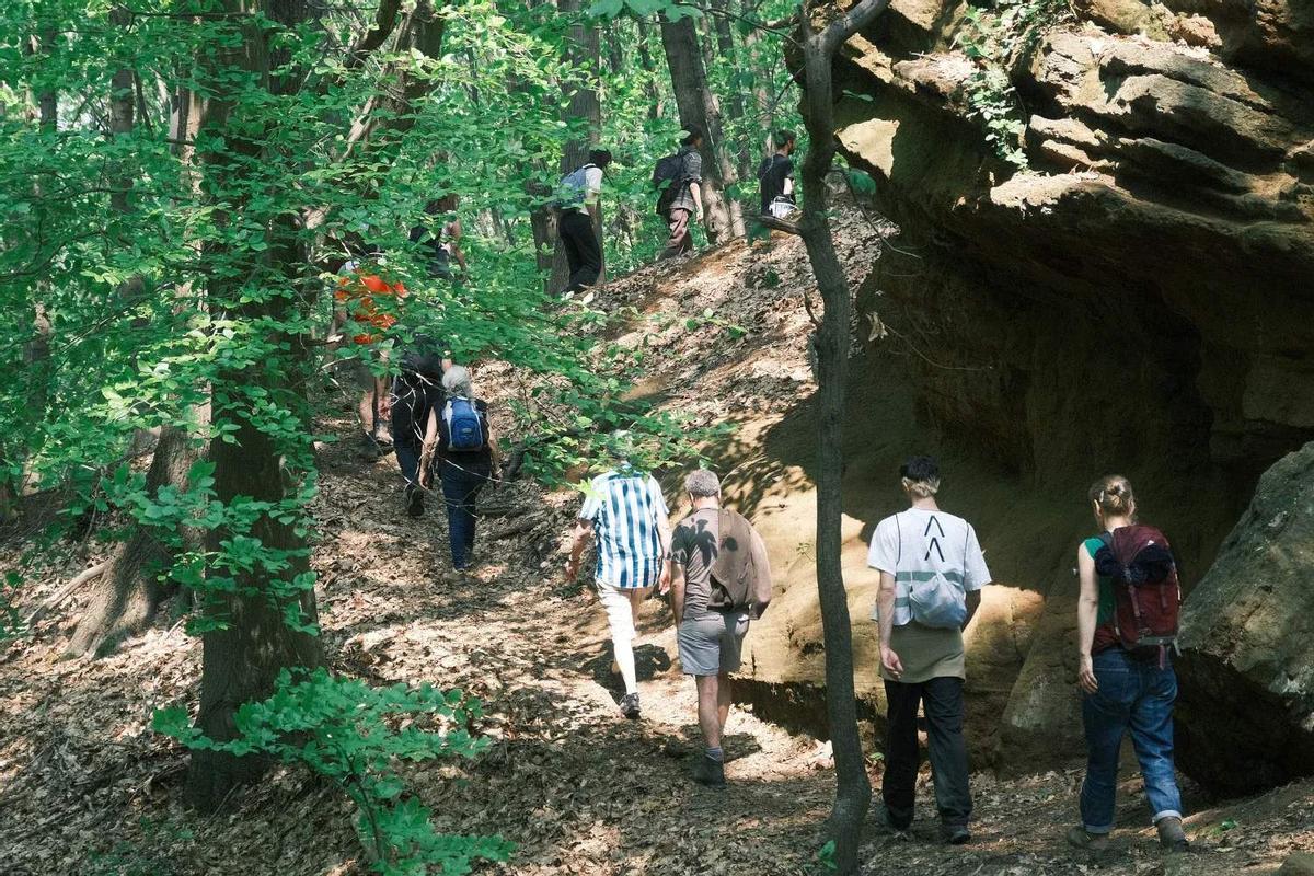 'Nomadics' invita a caminar por el bosque antes de ver el espectáculo.