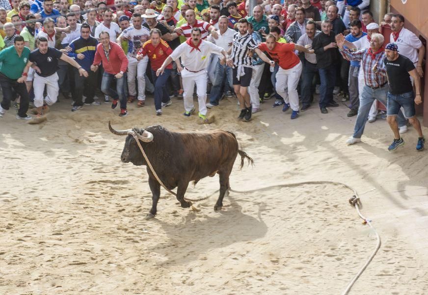 Carrera del Enmaromado 2016