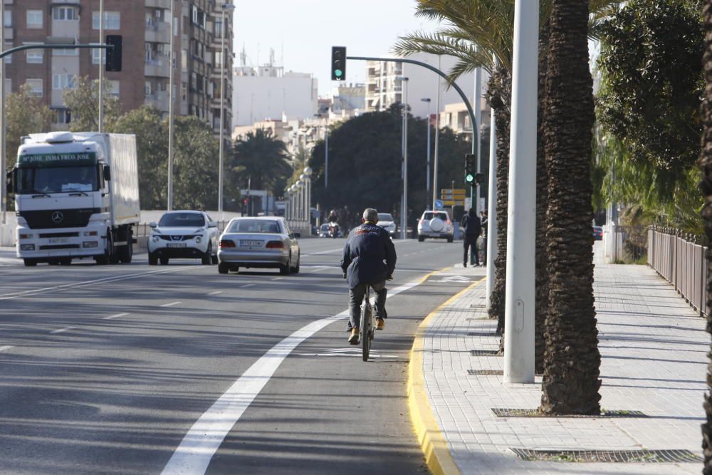 Así está el nuevo carril bici de Elche