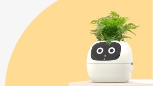 Este macetero inteligente ‘da vida’ a tus plantas y te avisa cuándo regarlas