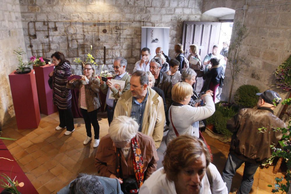 Girona floreix amb «Temps de Flors»