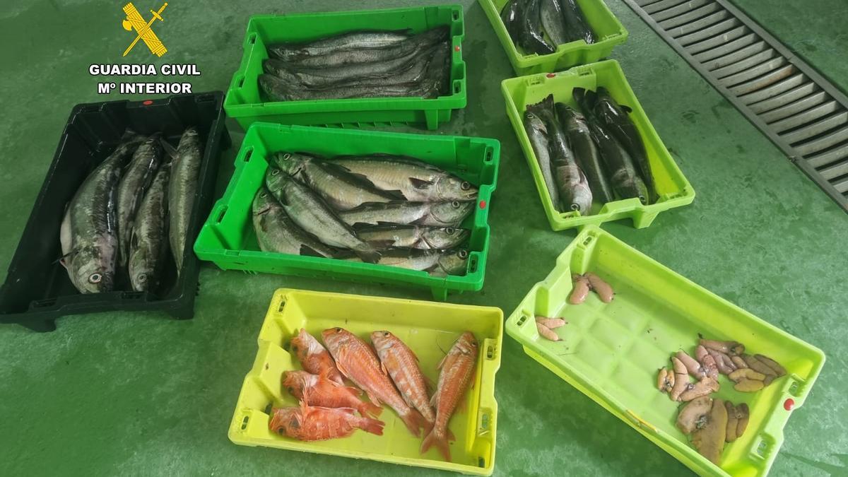 Las cajas de pescado descargadas irregularmente.