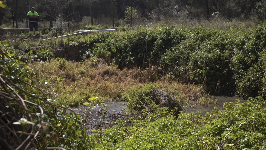 Denuncian años de vertidos de aguas sucias al barranco de Torres Torres