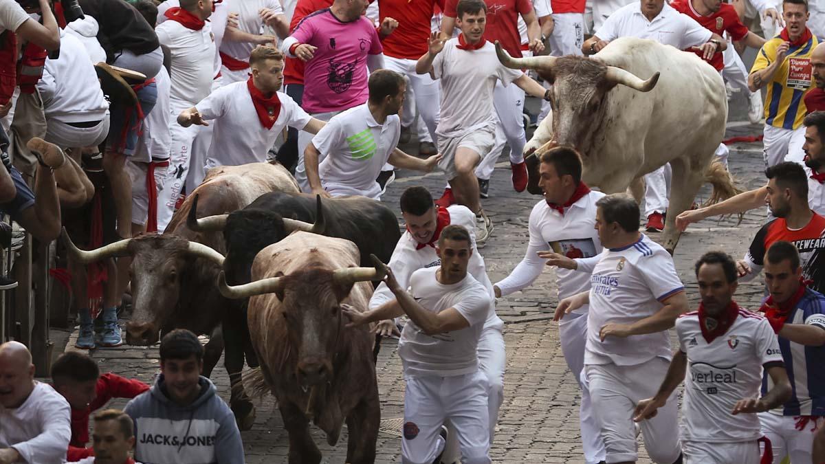 Los toros de la ganadería gaditana Núñez del Cuvillo en el tramo del callejón, antes de entrar en la Plaza de Toros, durante el primer encierro de los Sanfermines 2022.