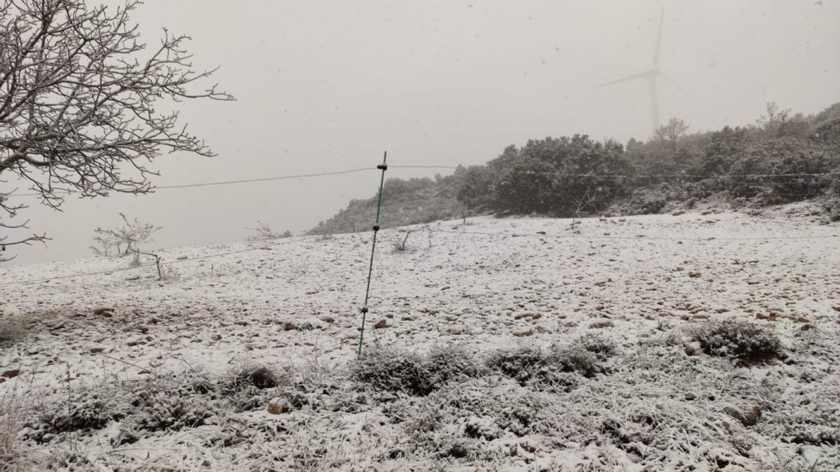 Nieve en ayora el 18 de marzo.