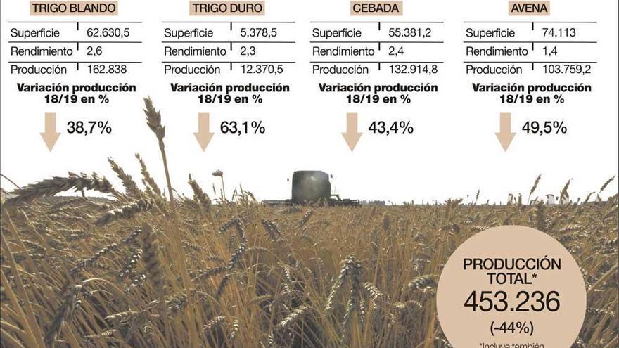 Cooperativas prevé una caída del 44% en la cosecha de cereales de invierno