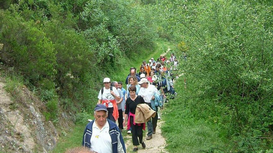 Visitantes en el bosque Ridimoas. |   // I. OSORIO