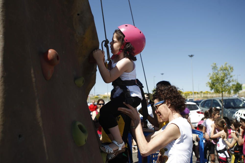 Actividades San Pedro