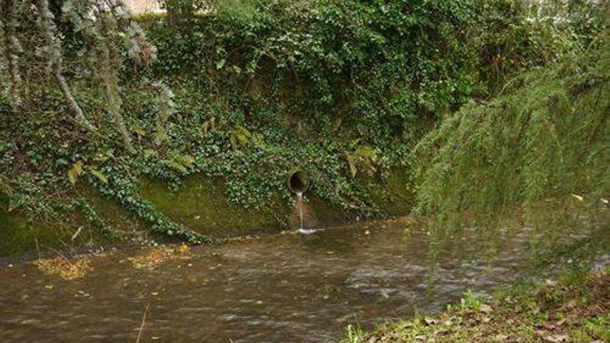 Advierten de la &quot;elevada contaminación&quot; del río Noreña