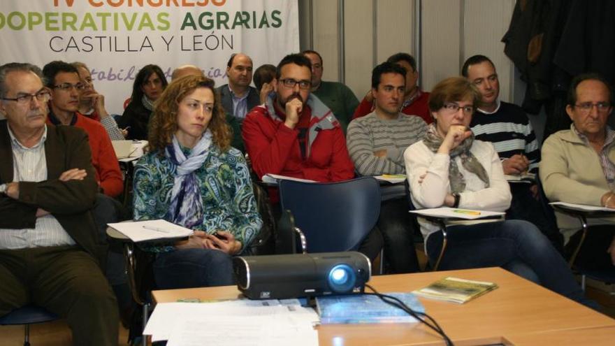 A la izquierda Rafael Sánchez Olea, de Cobadú, durante la reunión.