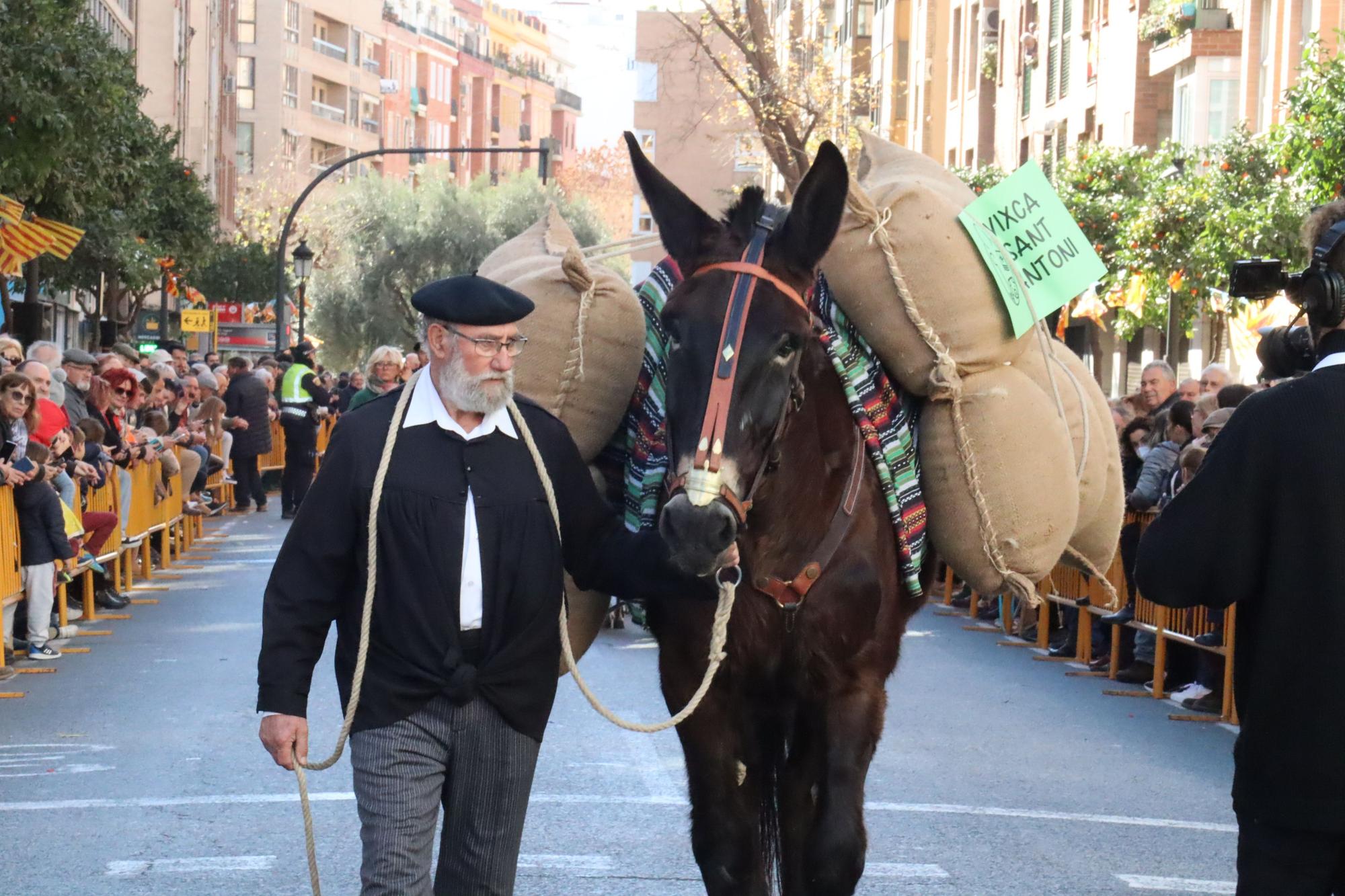 Perros policía y animales de granja completan el desfile de Sant Antoni en València