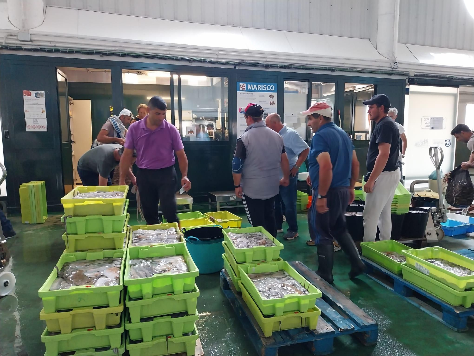 El inicio de la campaña del pulpo en el puerto de Bueu