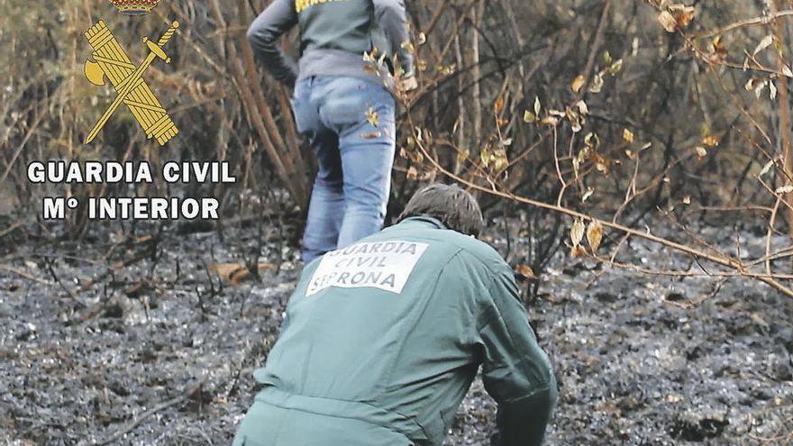 Dos agentes del Seprona toman muestras de uno de los incendios.