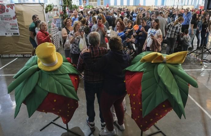 VALSEQUILLO. Feria de la fresa de Valsequillo  | 05/05/2019 | Fotógrafo: José Pérez Curbelo