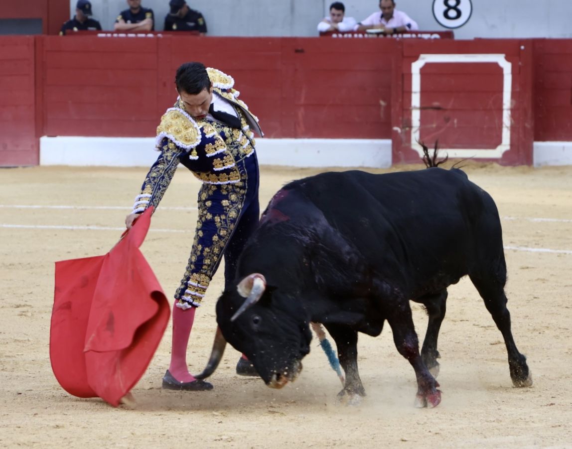 Las imágenes de la vuelta de los toros a la plaza de Villena