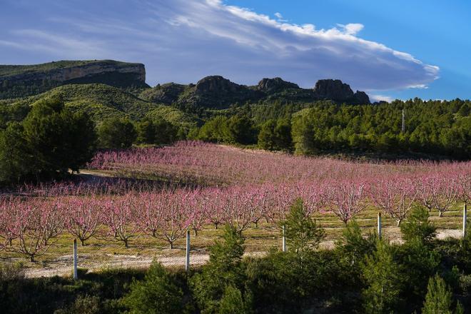 Campo de Cagitán, Murcia