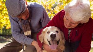 Estas son las mejores razas de perros para las personas mayores 