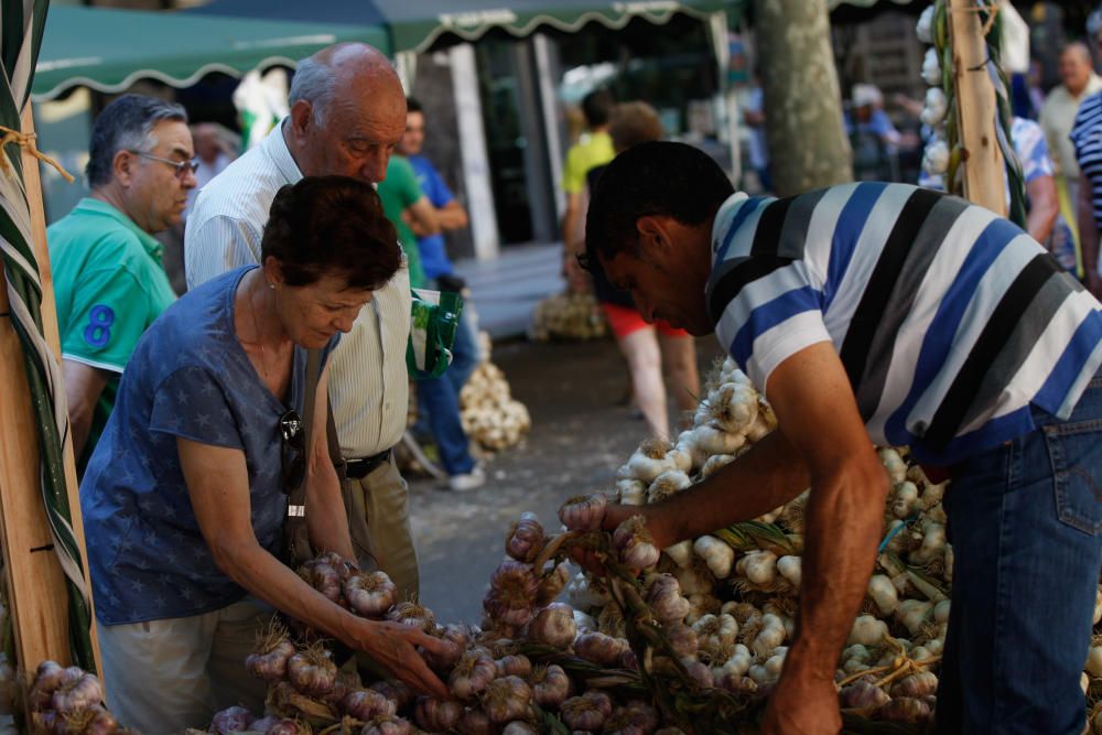 San Pedro 2016: Feria del Ajo