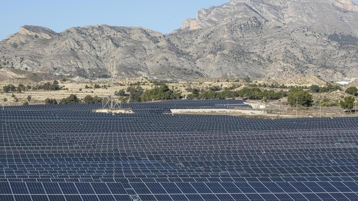 Una planta solar situada en la provincia de Alicante.