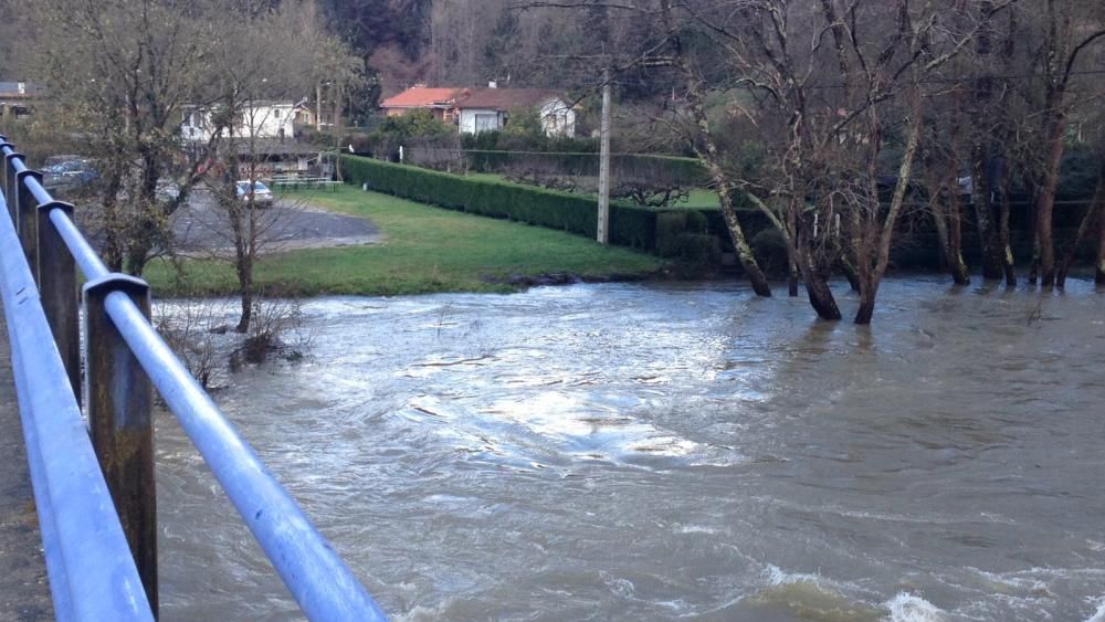 Los ríos Narcea y Nalón, muy crecidos en Pravia.